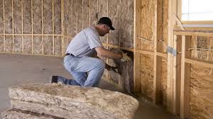 Best Batt and Roll Insulation  in Alamo Heights, TX