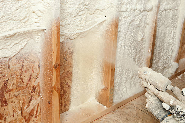 Best Spray Foam Insulation  in Alamo Heights, TX