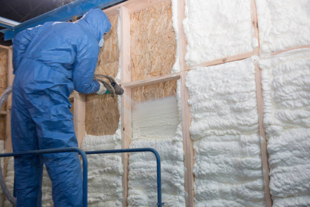 Best Thermal Imaging for Insulation Gaps  in Alamo Heights, TX